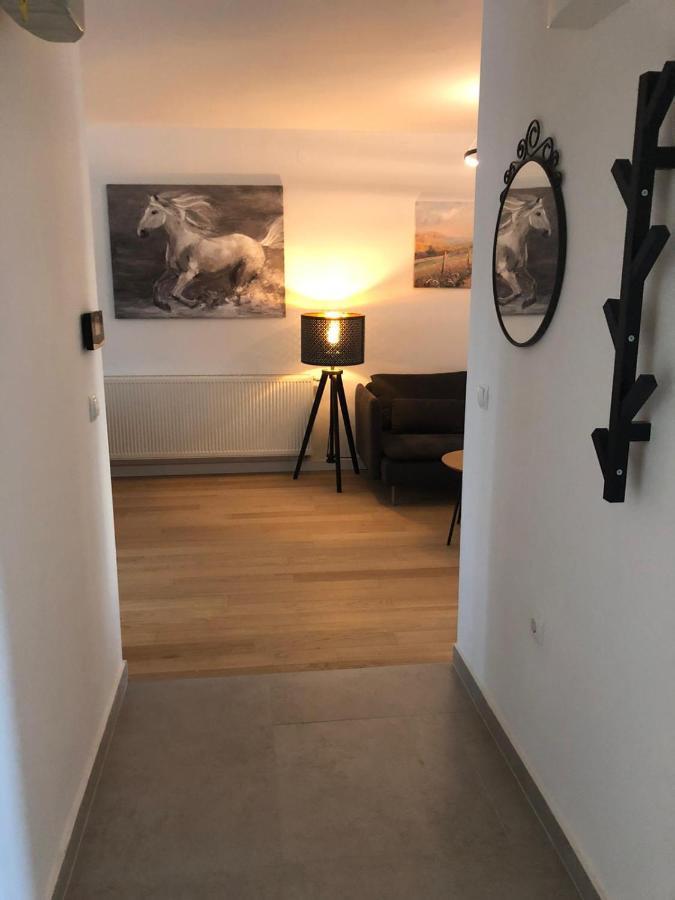 Apartment Molly زغرب المظهر الخارجي الصورة